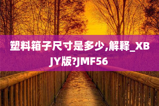 塑料箱子尺寸是多少,解释_XBJY版?JMF56