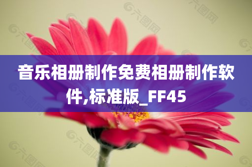 音乐相册制作免费相册制作软件,标准版_FF45