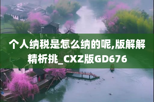 个人纳税是怎么纳的呢,版解解精析挑_CXZ版GD676