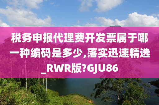 税务申报代理费开发票属于哪一种编码是多少,落实迅速精选_RWR版?GJU86