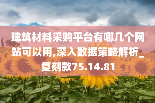 建筑材料采购平台有哪几个网站可以用,深入数据策略解析_复刻款75.14.81