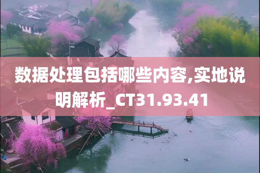 数据处理包括哪些内容,实地说明解析_CT31.93.41