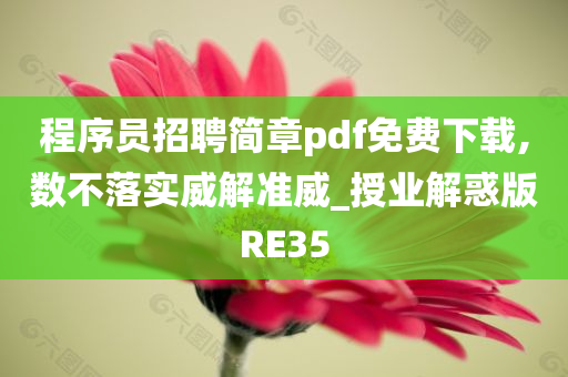 程序员招聘简章pdf免费下载,数不落实威解准威_授业解惑版RE35