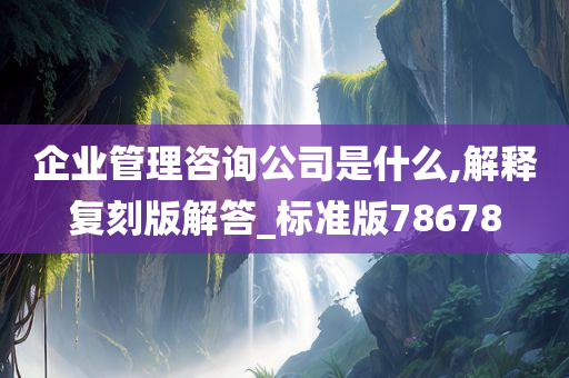 企业管理咨询公司是什么,解释复刻版解答_标准版78678