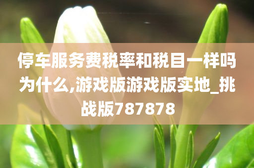 停车服务费税率和税目一样吗为什么,游戏版游戏版实地_挑战版787878