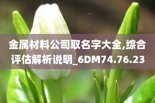 金属材料公司取名字大全,综合评估解析说明_6DM74.76.23