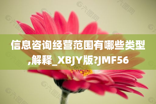 信息咨询经营范围有哪些类型,解释_XBJY版?JMF56