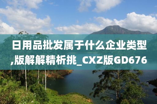 日用品批发属于什么企业类型,版解解精析挑_CXZ版GD676