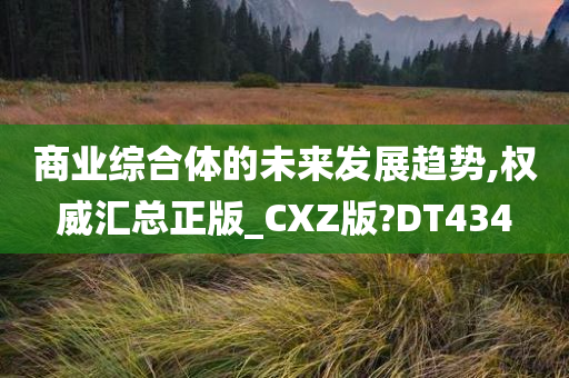 商业综合体的未来发展趋势,权威汇总正版_CXZ版?DT434