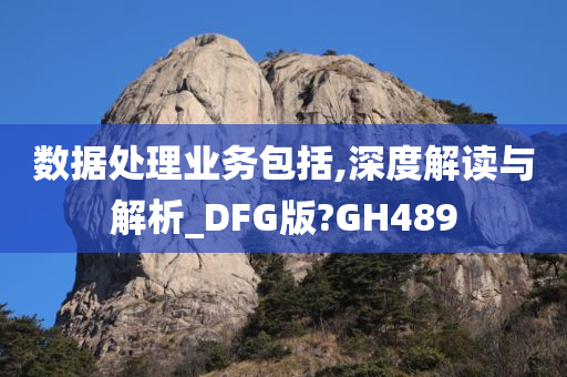 数据处理业务包括,深度解读与解析_DFG版?GH489