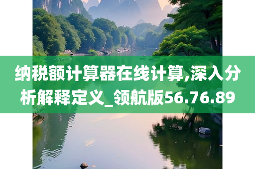 纳税额计算器在线计算,深入分析解释定义_领航版56.76.89