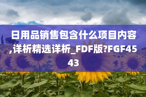 日用品销售包含什么项目内容,详析精选详析_FDF版?FGF4543