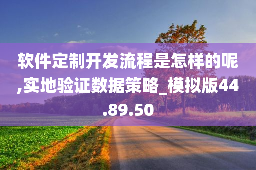 软件定制开发流程是怎样的呢,实地验证数据策略_模拟版44.89.50