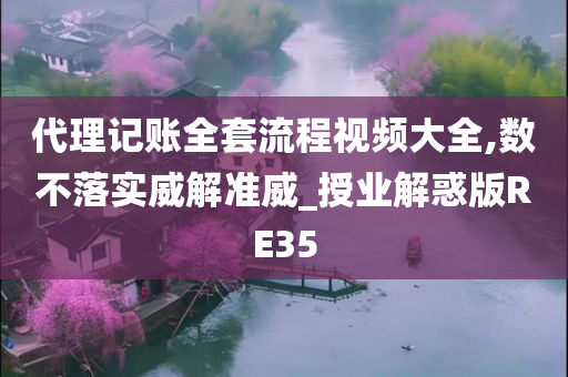 代理记账全套流程视频大全,数不落实威解准威_授业解惑版RE35