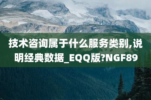 技术咨询属于什么服务类别,说明经典数据_EQQ版?NGF89