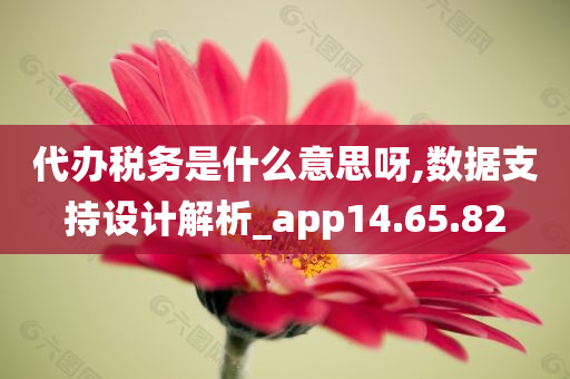 代办税务是什么意思呀,数据支持设计解析_app14.65.82