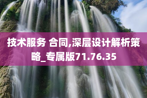 技术服务 合同,深层设计解析策略_专属版71.76.35