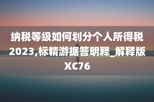 纳税等级如何划分个人所得税2023,标精游据答明释_解释版XC76