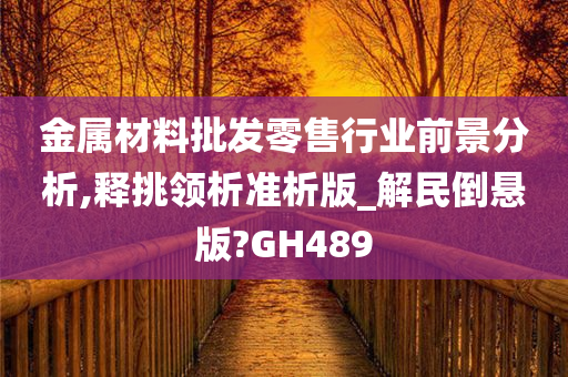 金属材料批发零售行业前景分析,释挑领析准析版_解民倒悬版?GH489