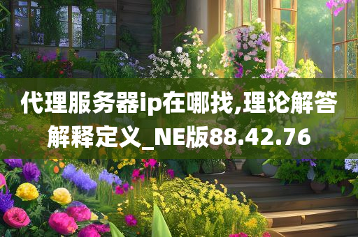 代理服务器ip在哪找,理论解答解释定义_NE版88.42.76