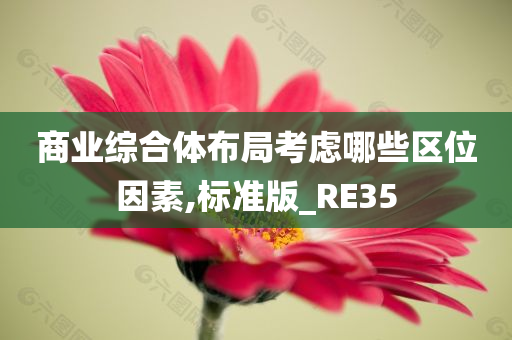 商业综合体布局考虑哪些区位因素,标准版_RE35