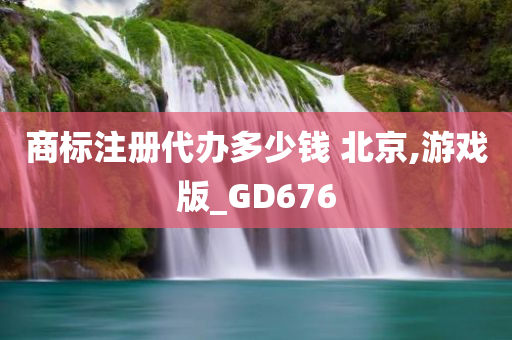 商标注册代办多少钱 北京,游戏版_GD676