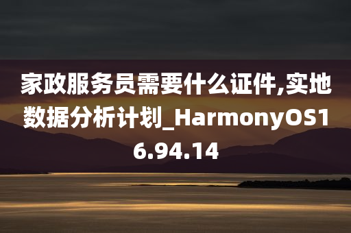 家政服务员需要什么证件,实地数据分析计划_HarmonyOS16.94.14