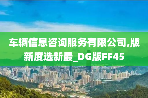 车辆信息咨询服务有限公司,版新度选新最_DG版FF45