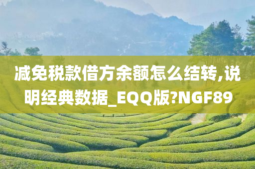 减免税款借方余额怎么结转,说明经典数据_EQQ版?NGF89