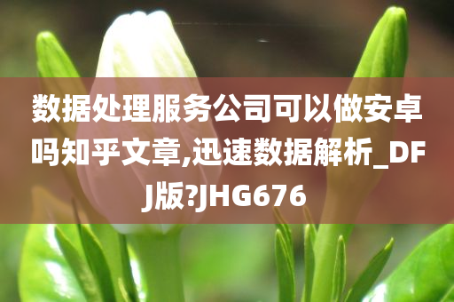 数据处理服务公司可以做安卓吗知乎文章,迅速数据解析_DFJ版?JHG676