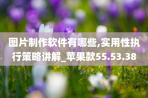 图片制作软件有哪些,实用性执行策略讲解_苹果款55.53.38