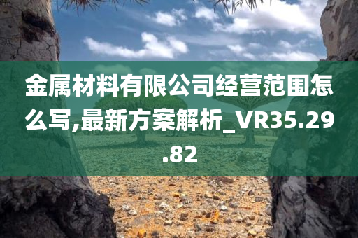 金属材料有限公司经营范围怎么写,最新方案解析_VR35.29.82