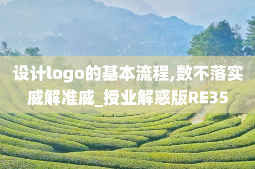 设计logo的基本流程,数不落实威解准威_授业解惑版RE35