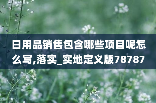 日用品销售包含哪些项目呢怎么写,落实_实地定义版78787