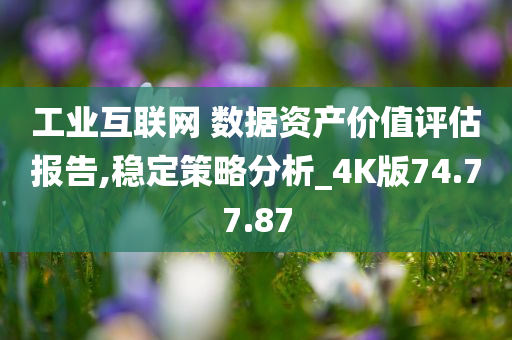 工业互联网 数据资产价值评估报告,稳定策略分析_4K版74.77.87