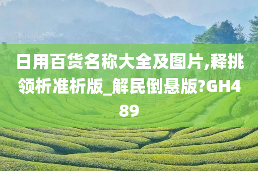 日用百货名称大全及图片,释挑领析准析版_解民倒悬版?GH489