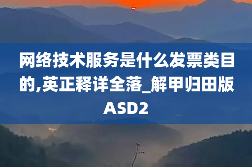 网络技术服务是什么发票类目的,英正释详全落_解甲归田版ASD2