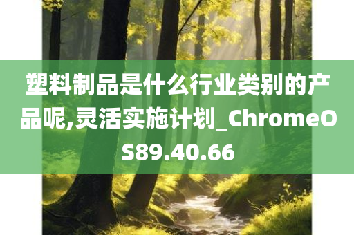 塑料制品是什么行业类别的产品呢,灵活实施计划_ChromeOS89.40.66