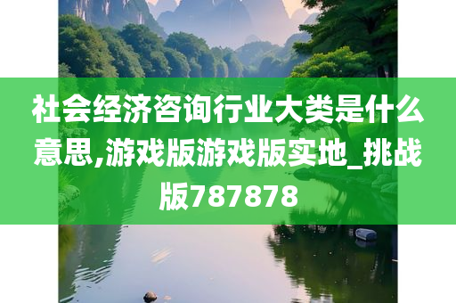 社会经济咨询行业大类是什么意思,游戏版游戏版实地_挑战版787878