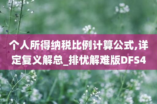 个人所得纳税比例计算公式,详定复义解总_排忧解难版DFS4