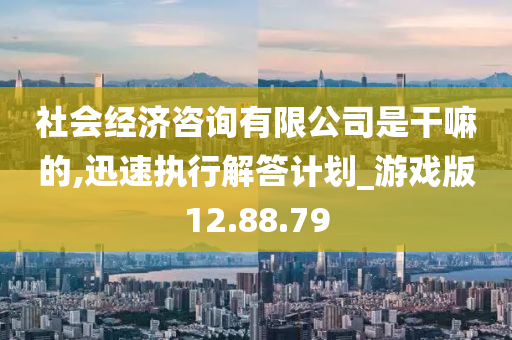 社会经济咨询有限公司是干嘛的,迅速执行解答计划_游戏版12.88.79