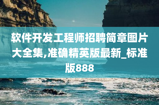 软件开发工程师招聘简章图片大全集,准确精英版最新_标准版888