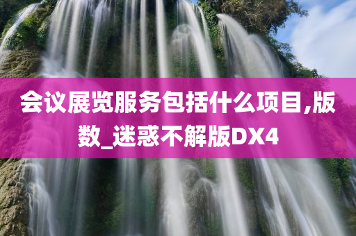 会议展览服务包括什么项目,版数_迷惑不解版DX4