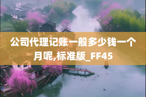 公司代理记账一般多少钱一个月呢,标准版_FF45