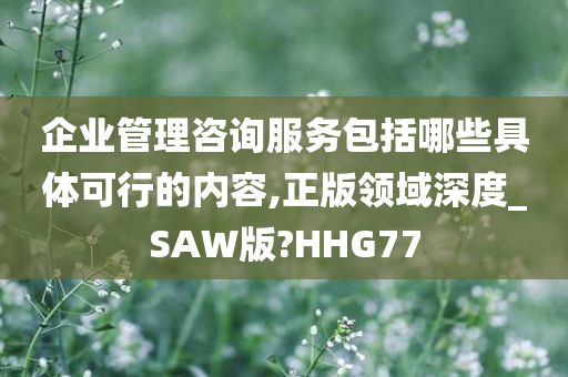 企业管理咨询服务包括哪些具体可行的内容,正版领域深度_SAW版?HHG77