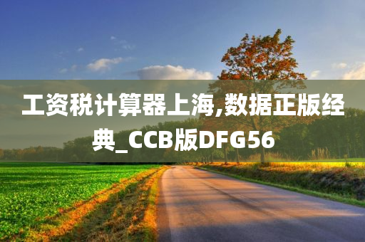 工资税计算器上海,数据正版经典_CCB版DFG56