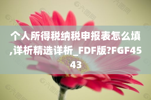 个人所得税纳税申报表怎么填,详析精选详析_FDF版?FGF4543