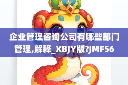 企业管理咨询公司有哪些部门管理,解释_XBJY版?JMF56