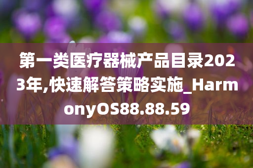 第一类医疗器械产品目录2023年,快速解答策略实施_HarmonyOS88.88.59