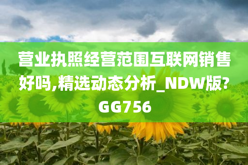 营业执照经营范围互联网销售好吗,精选动态分析_NDW版?GG756